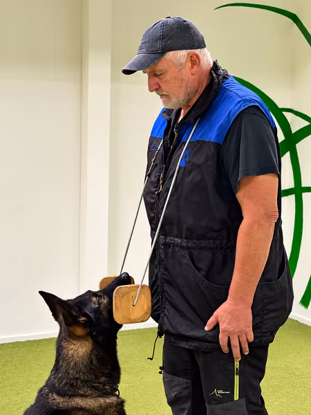 Apportbock med elastiskt band