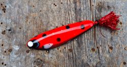 Flashback Crusader -Ladybug