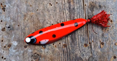 Flashback Crusader -Ladybug