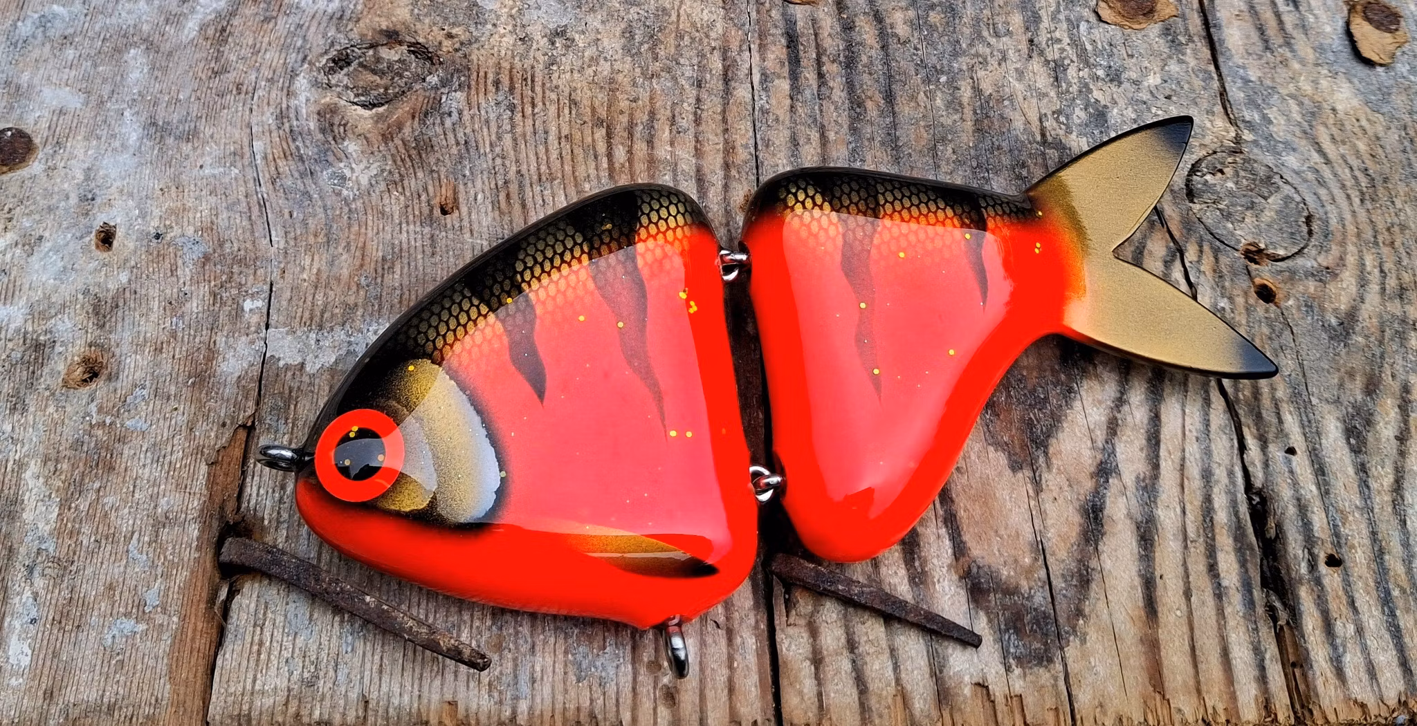 Jointed Buttface RedTiger