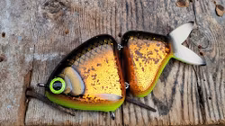 Jointed Buttface HotCopper Bream