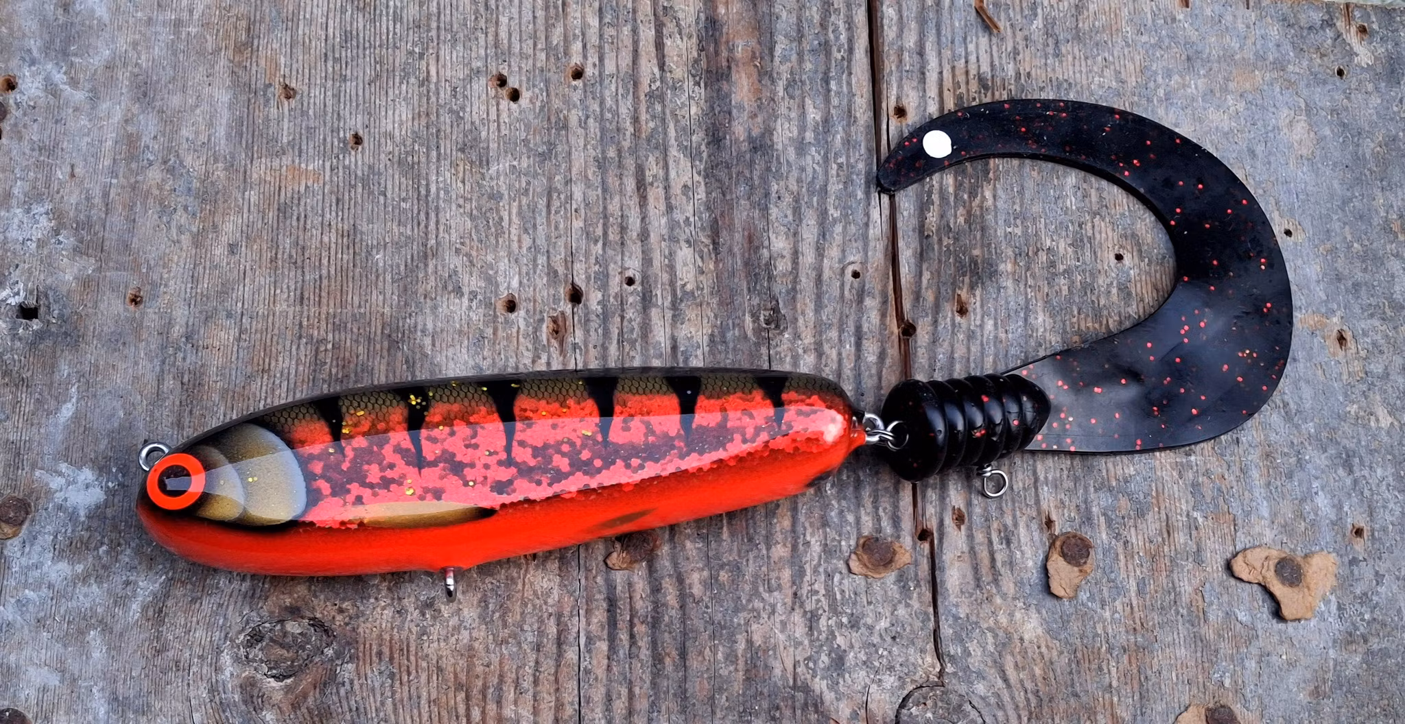 KingKong-tail RedGlitter Tiger