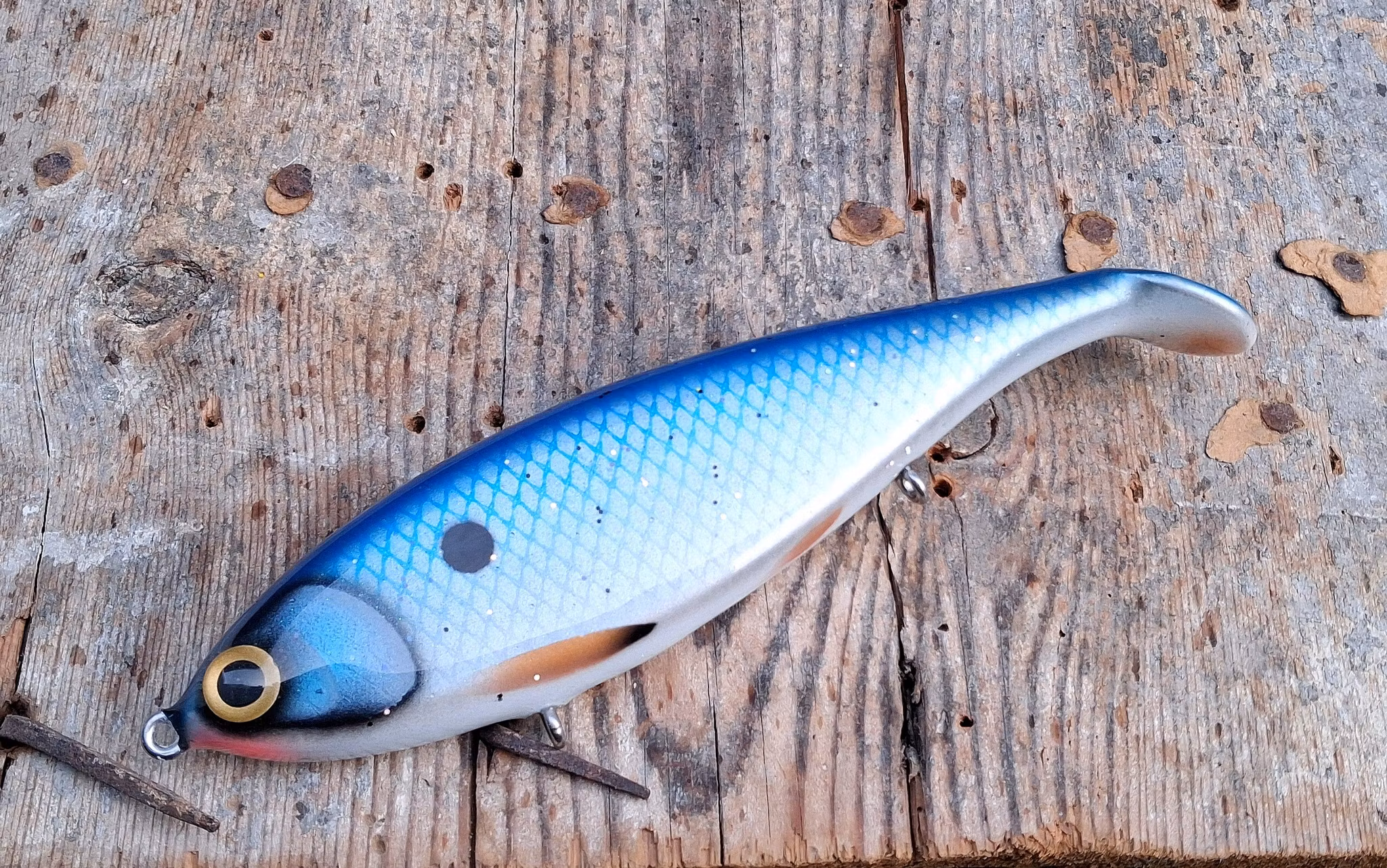 Big Backlip Bluesilver