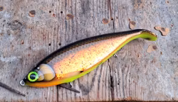 Big Backlip Copperglitter Hotbream