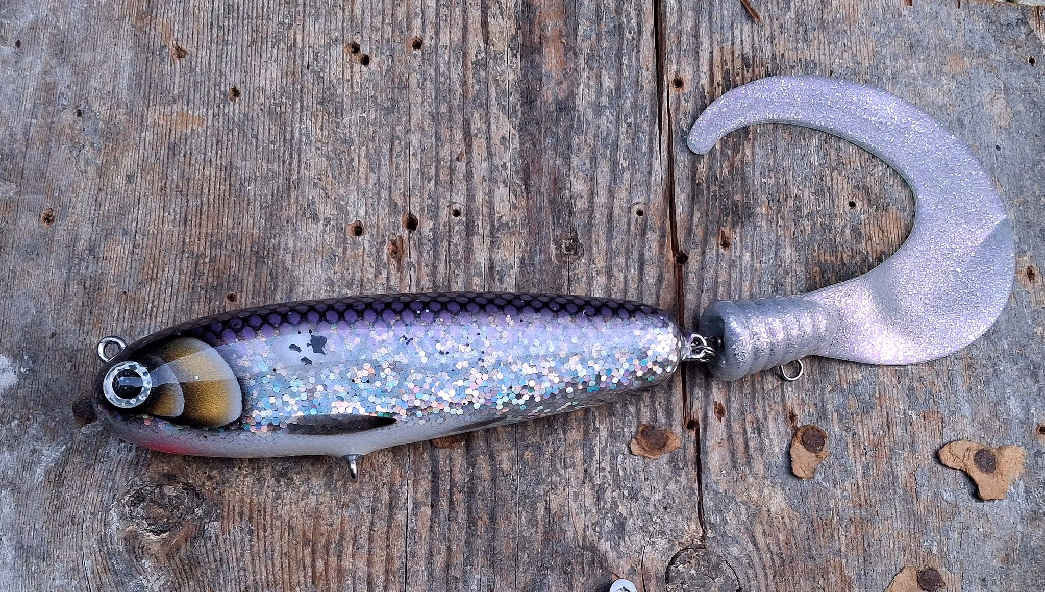 KingKong-tail Pickleback Whitefish