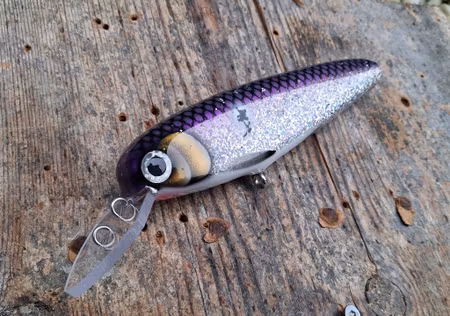 Twerker crank Pickleback Whitefish