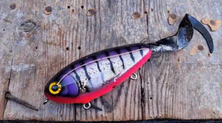 HeavyHitter jerktail PurpleCowardTiger