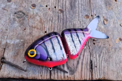 Preyfish 6" PurpleCowardTiger