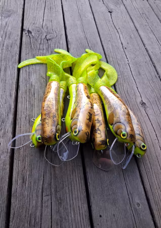 BurbotCrank 'HotBurbot'