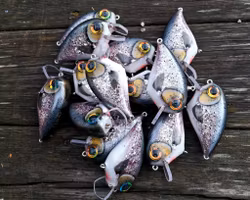 Bassmaster Crank 'Glitter Rainbowtrout'