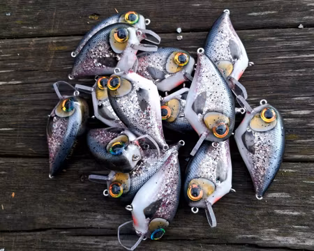 Bassmaster Crank 'Glitter Rainbowtrout'