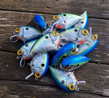 Bassmaster Crank 'Glitter SexyShad'