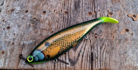 Big Backlip MotoroilButtlight