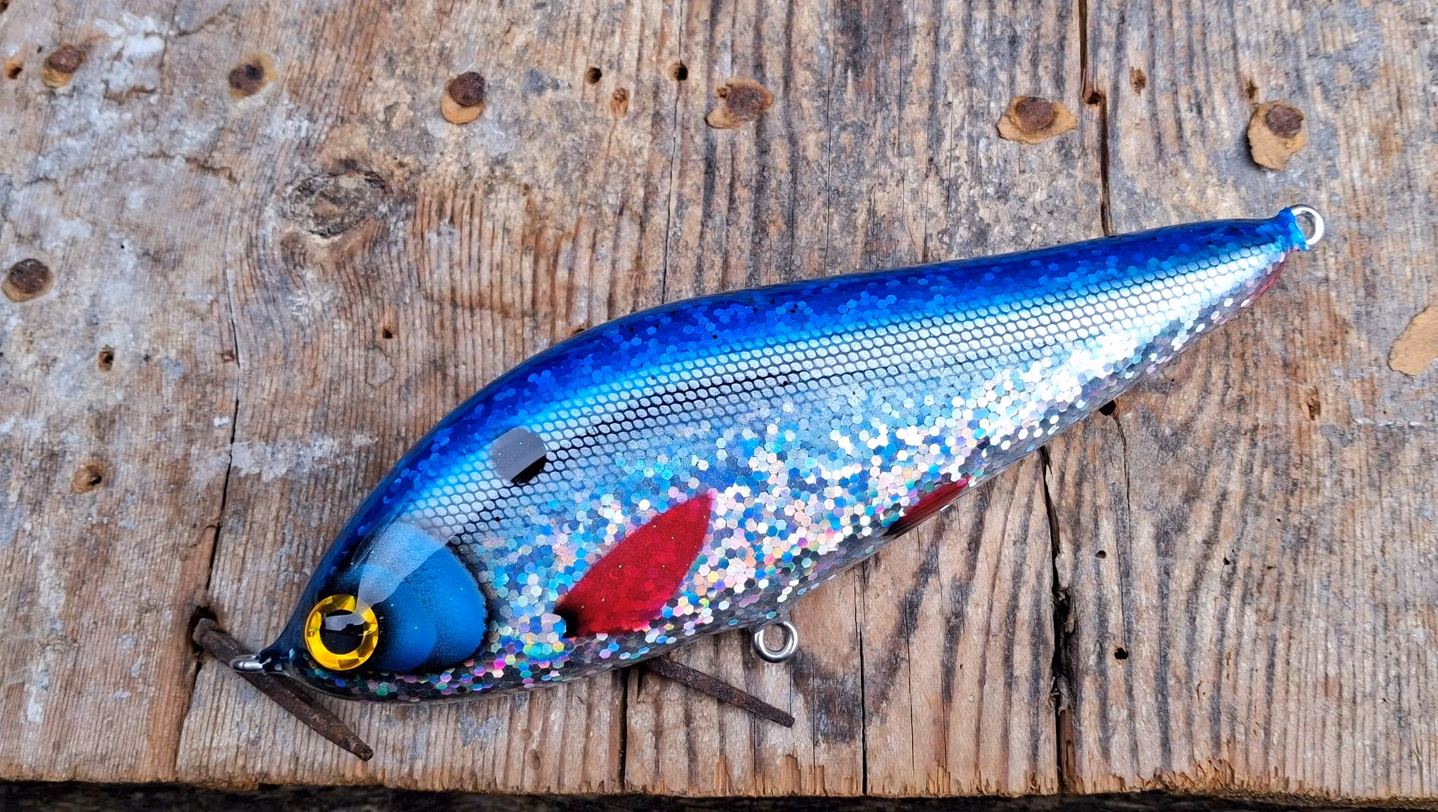 Big Belly Up 'Bluesilver Shad'