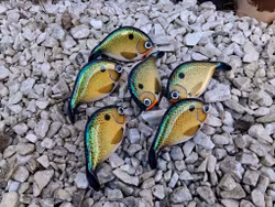 Braxlip original GreenShimmeringShad