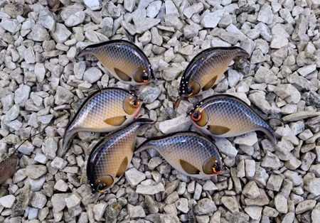 Braxlip original NaturalBream