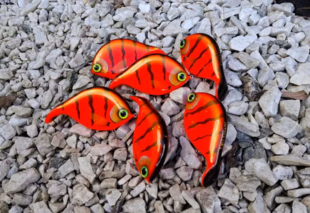 Braxlip original RedTiger