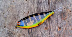 Flying V BlackPerch