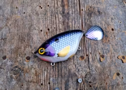 Bumblebee 'ElectricWhitefish'