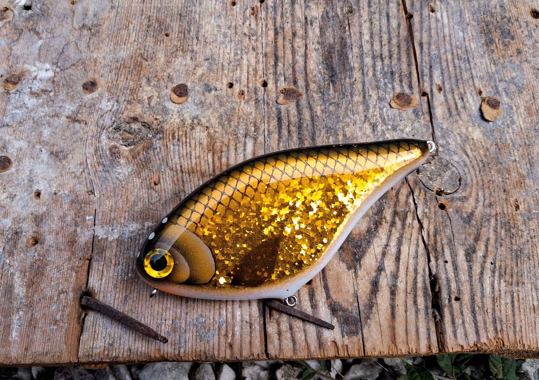 SlimSwim GoldglitterBream