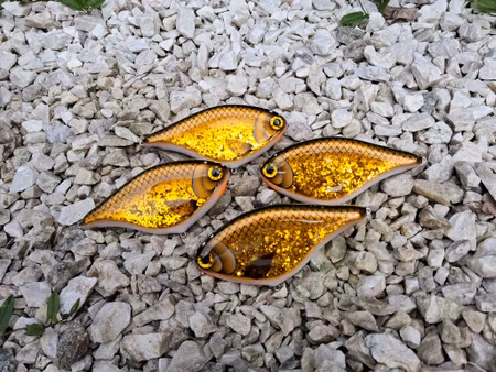 SlimSwim GoldglitterBream