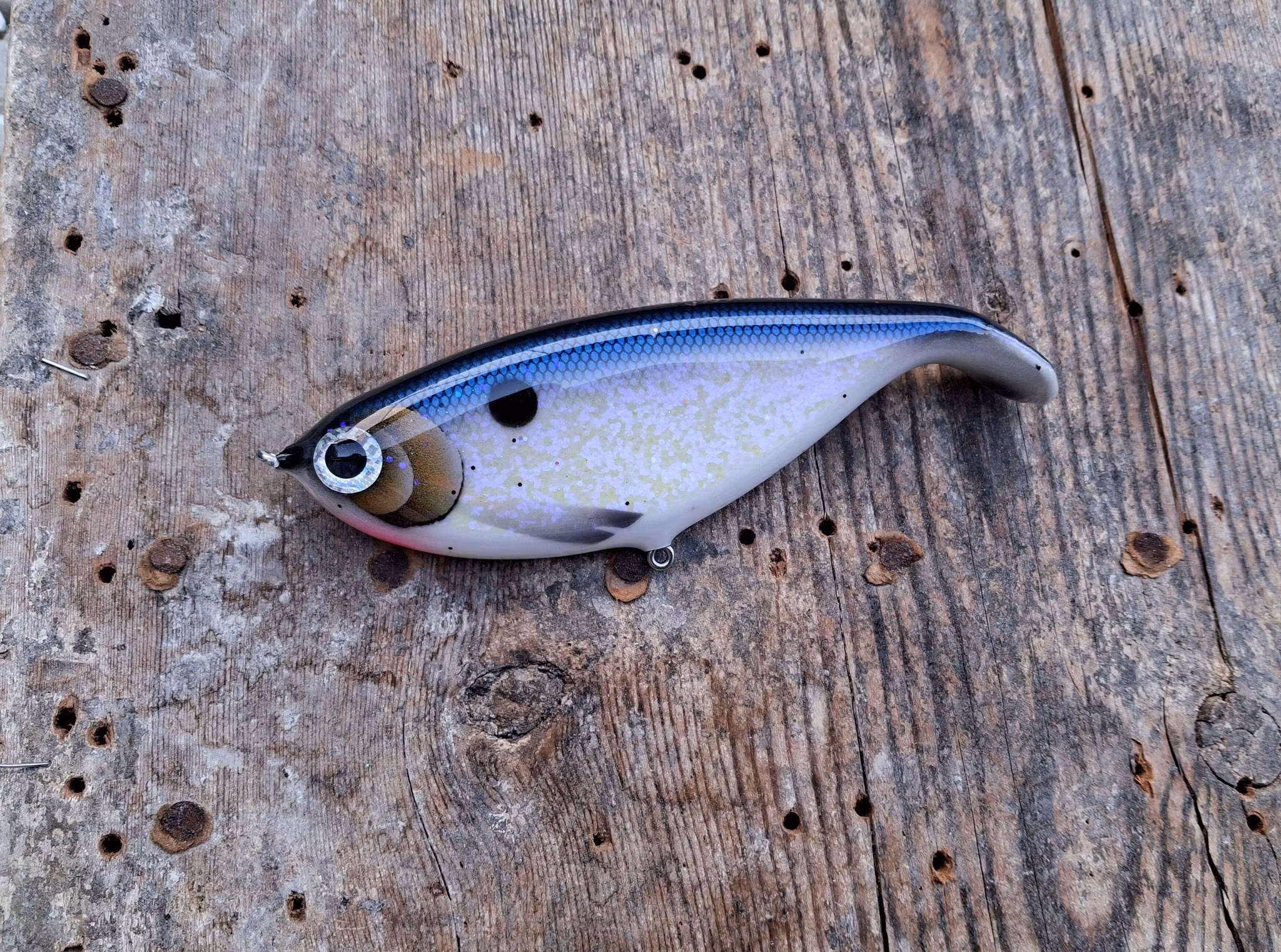 Shadlip CD16 Shimmering sisco