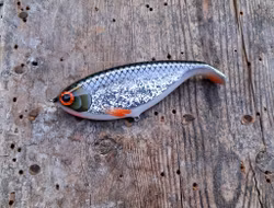 Shadlip CD16 GlitterRoach