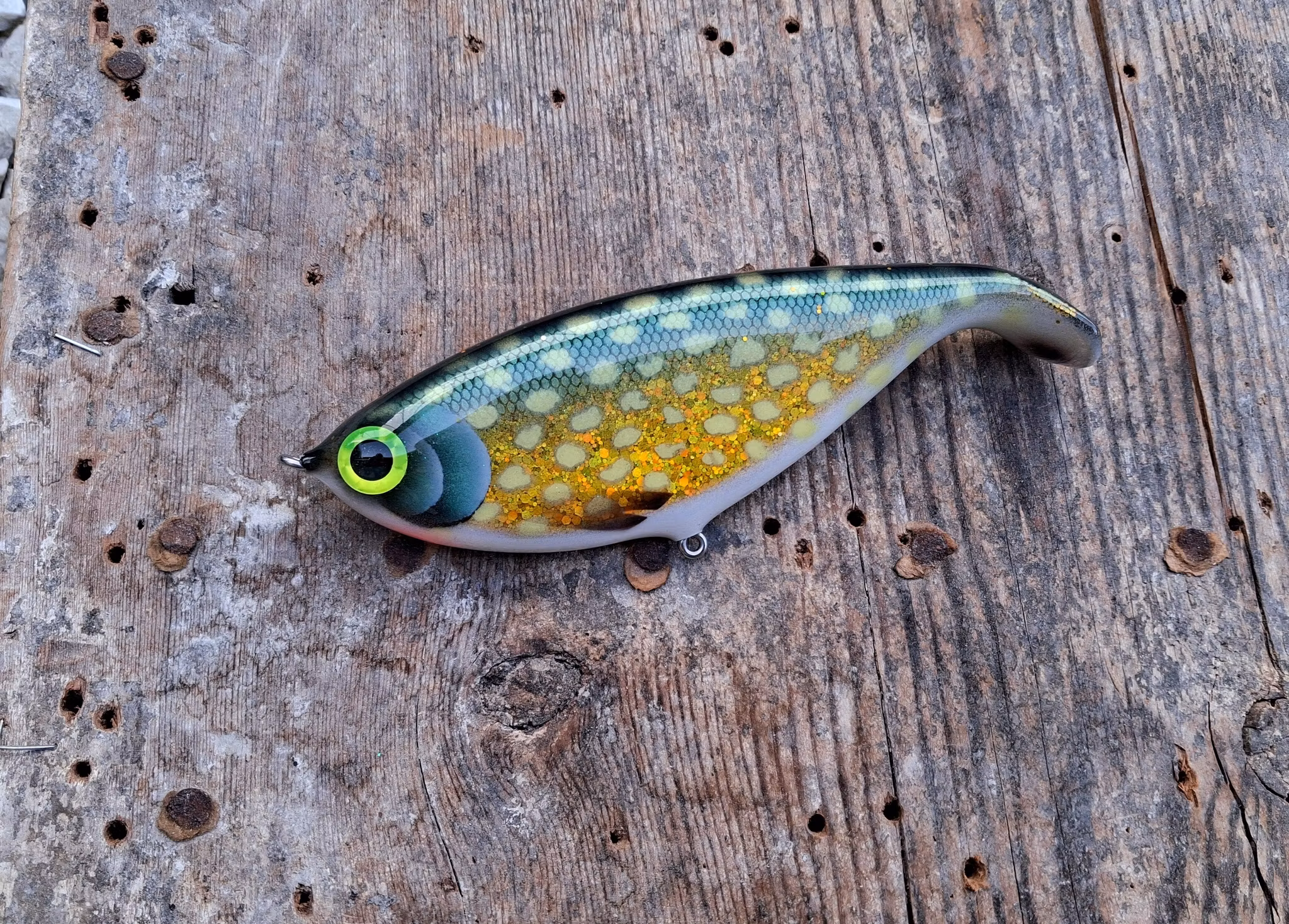 Shadlip CD16 Holographic pike