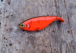 Shadlip CD16 RedTiger