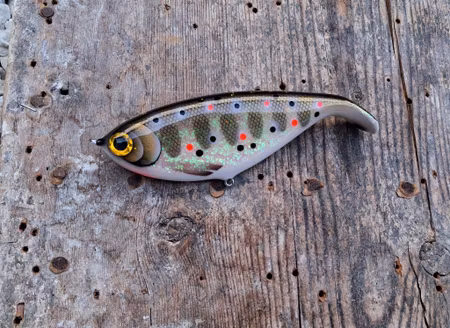 Shadlip CD16 Shimmering smolt