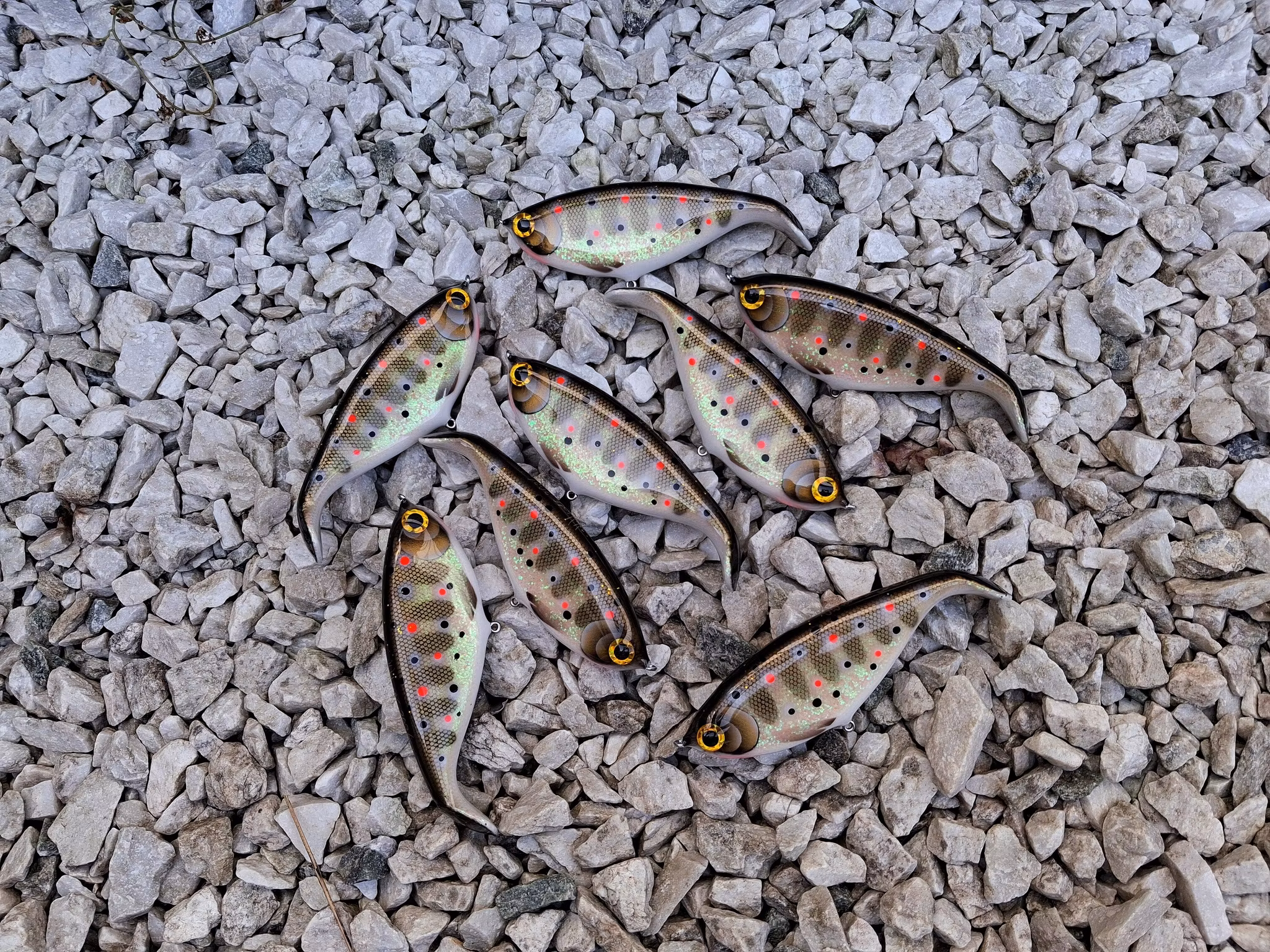 Shadlip CD16 Shimmering smolt