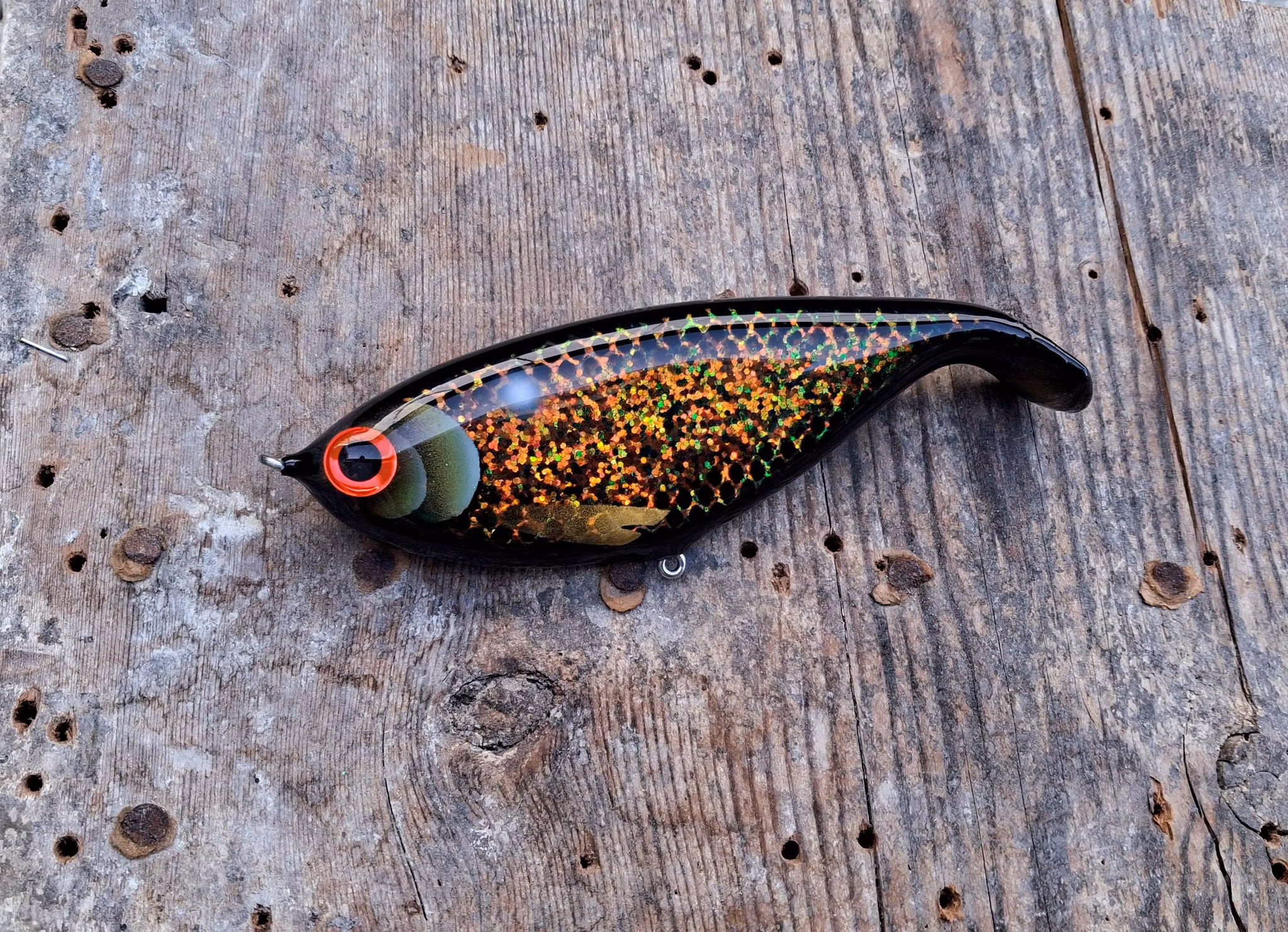 Shadlip CD16 Black chameleon carp