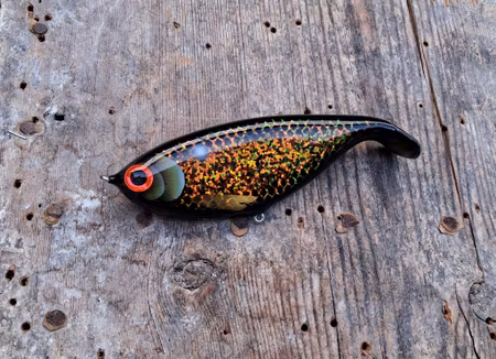 Shadlip CD16 Black chameleon carp