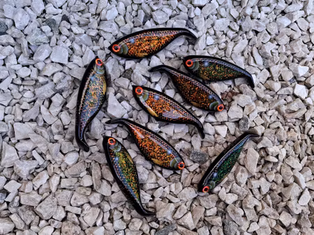 Shadlip CD16 Black chameleon carp