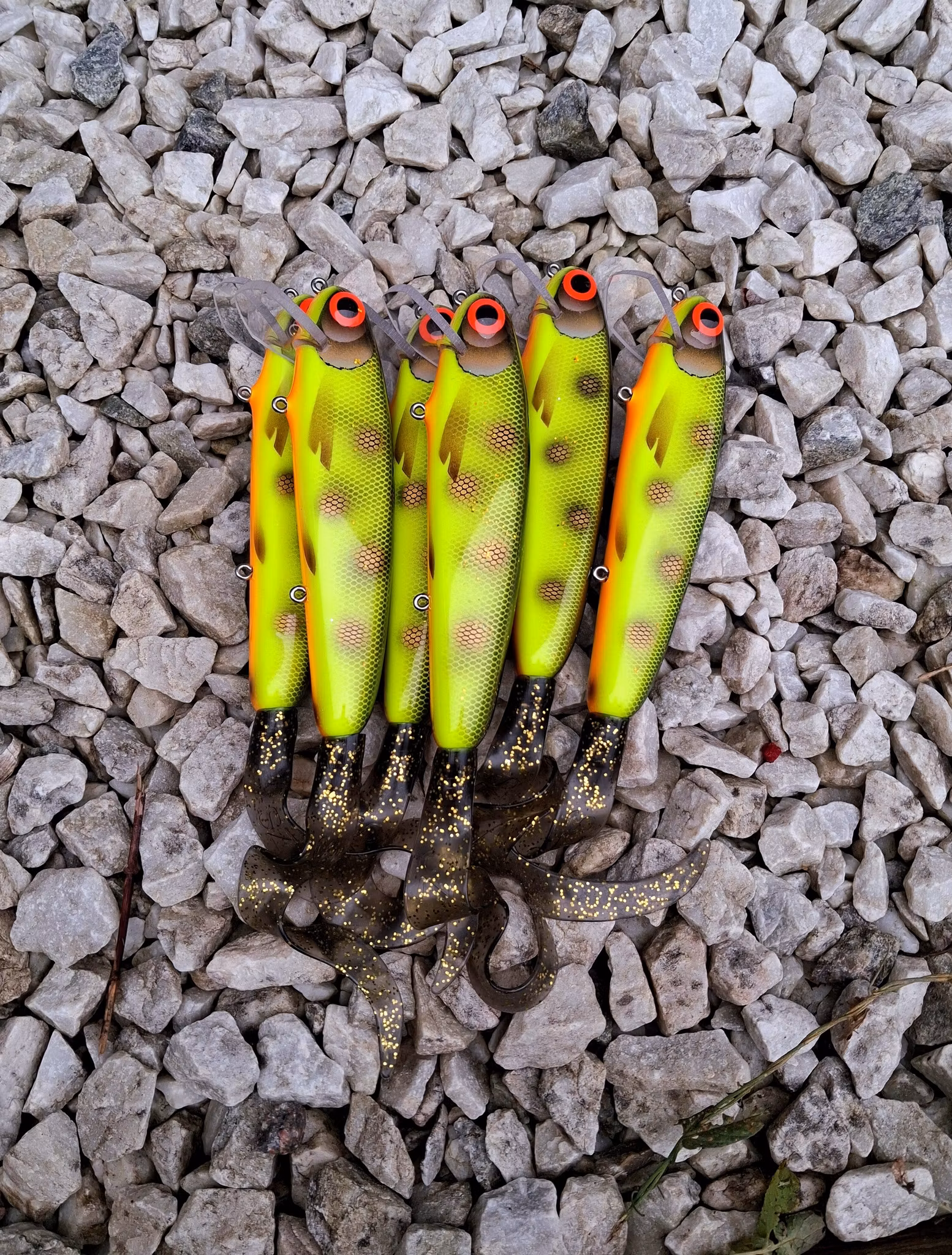 Twitchtail crank  Hotspottedbullhead