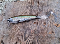 Twitchtail crank 'Holographic Smelt'