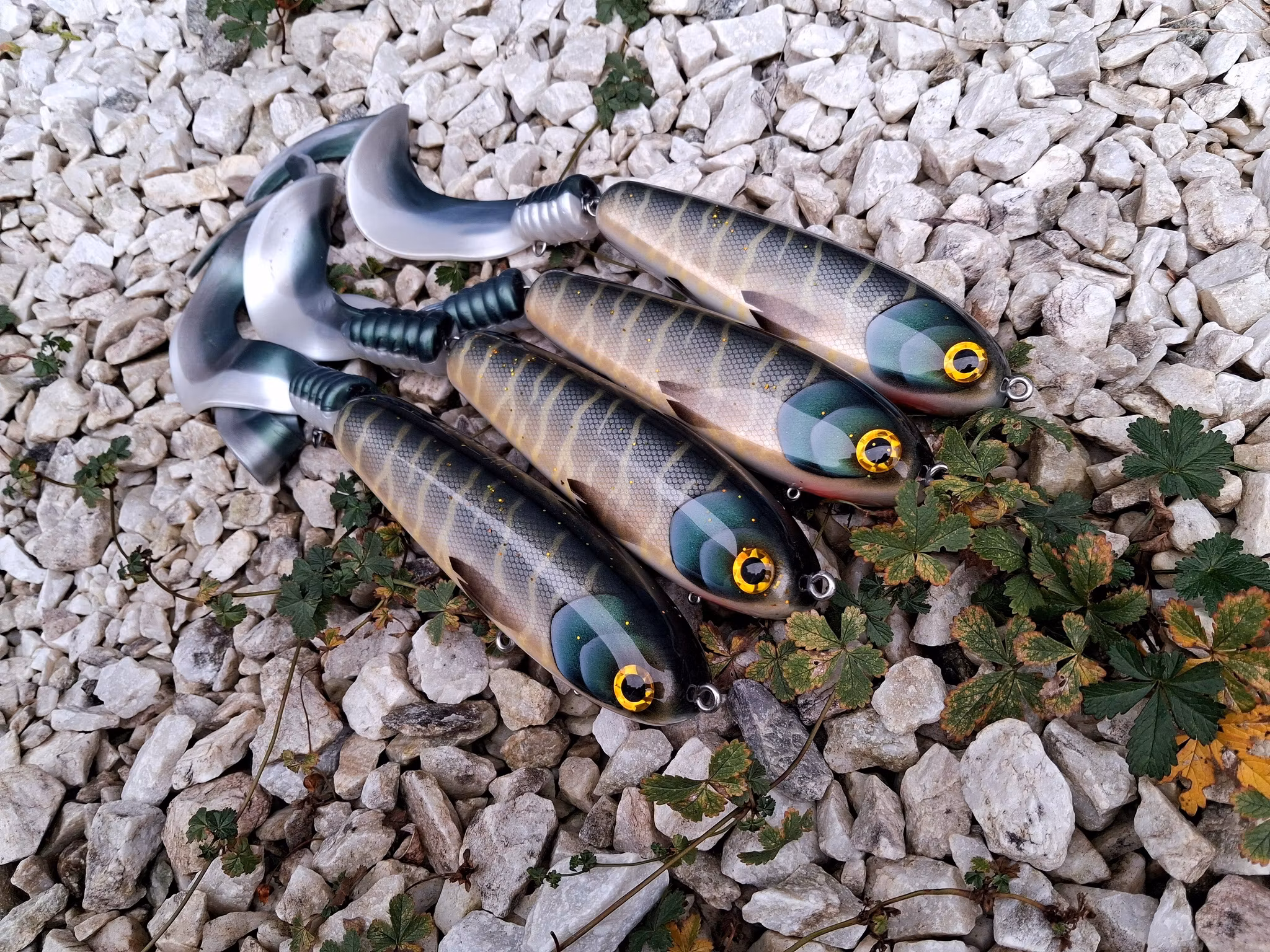 KingKong-tail 'Young Pike'