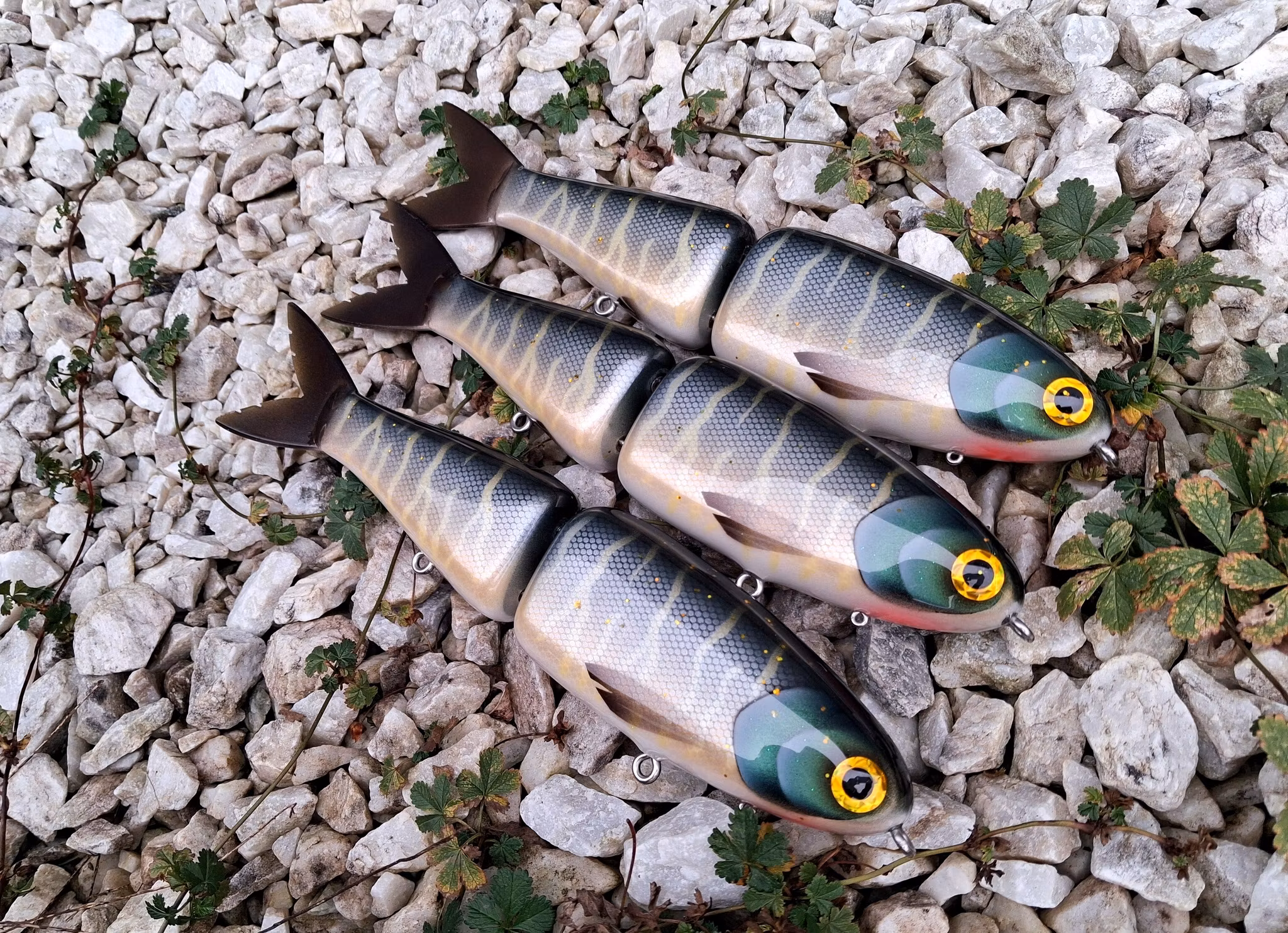 Big Gun Swim 'Young Pike'