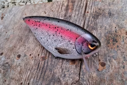 Schnitzel Crank 'Holographic Rainbowtrout'
