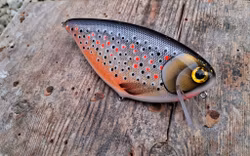 Schnitzel Crank 'Holographic BrownTrout'
