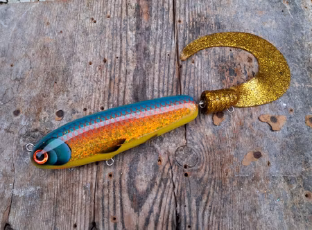 KingKong-tail 'GoldglitterParrot'