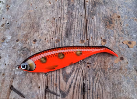 Big Backlip Doublenature 'RedHot-Spottedbullhead'
