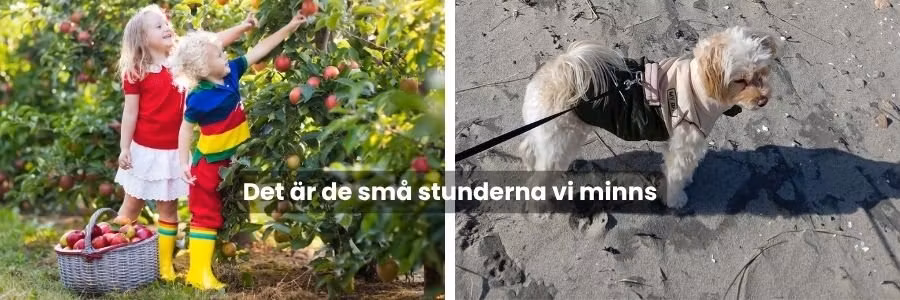 Det är de små stunderna vi minns