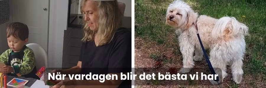När vardagen blir det bästa vi har