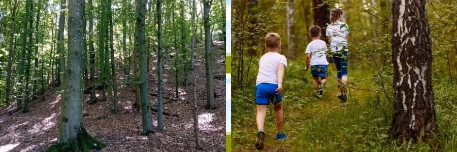 Utomhuslek i naturen därför är lek viktigt för alla ❣