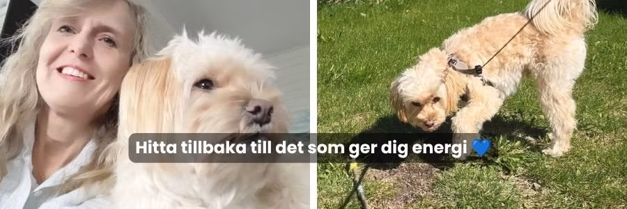 Hitta tillbaka till det som ger dig energi