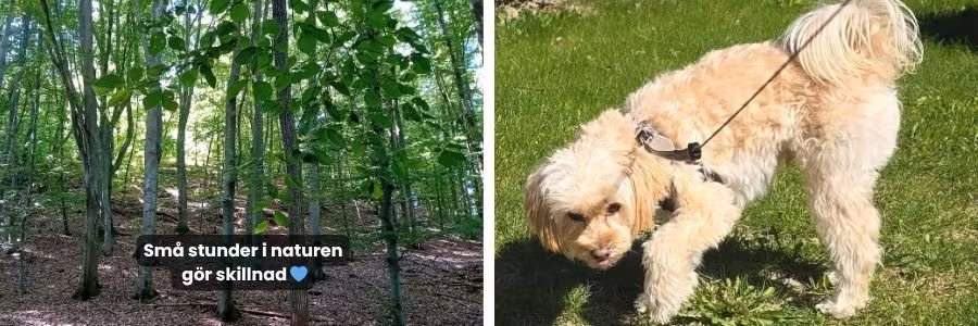 Skärmen kan vänta naturen gör något med oss 😊