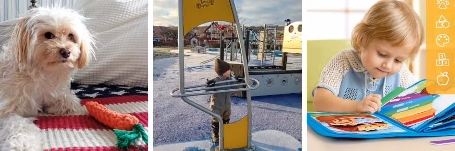 Lek är viktigt för barn, vuxna och djur