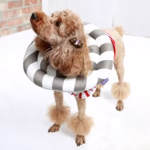 Mjuk halskrage för hund randig