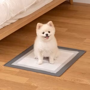 Halkfri toalettmatta för hund smidig att ha med överallt.